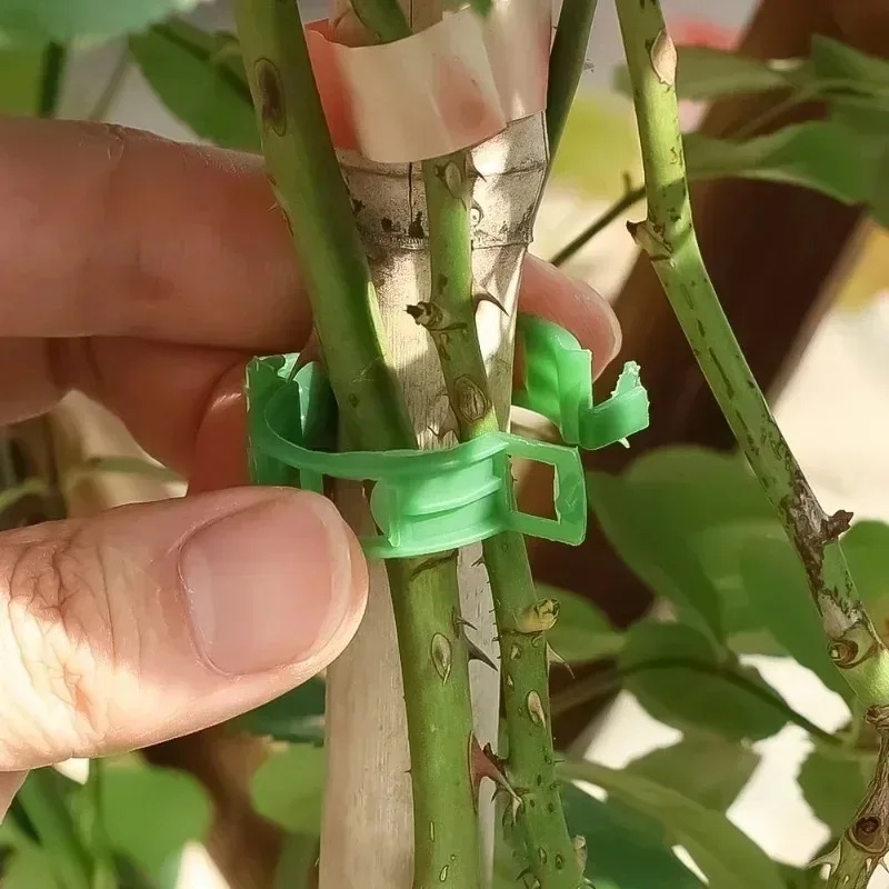 Gardening Tools For Vines - 50-100개 플라스틱 식물 지지 클립 재사용