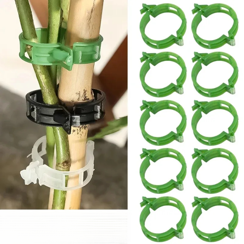 50-100개 플라스틱 식물 지지 클립 재사용 가능한  - Gardening Tools For Vines 리뷰 및 가격