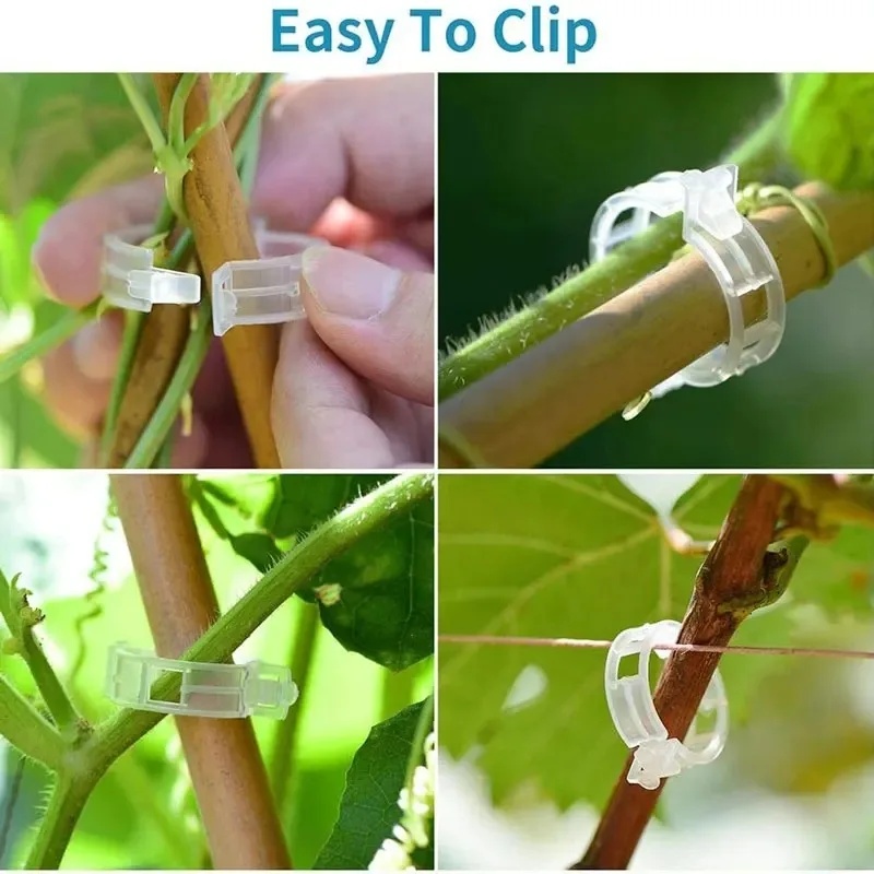 50-100개 플라스틱 식물 지지 클립 재사용 가능한  - Gardening Tools For Vines 리뷰 및 가격