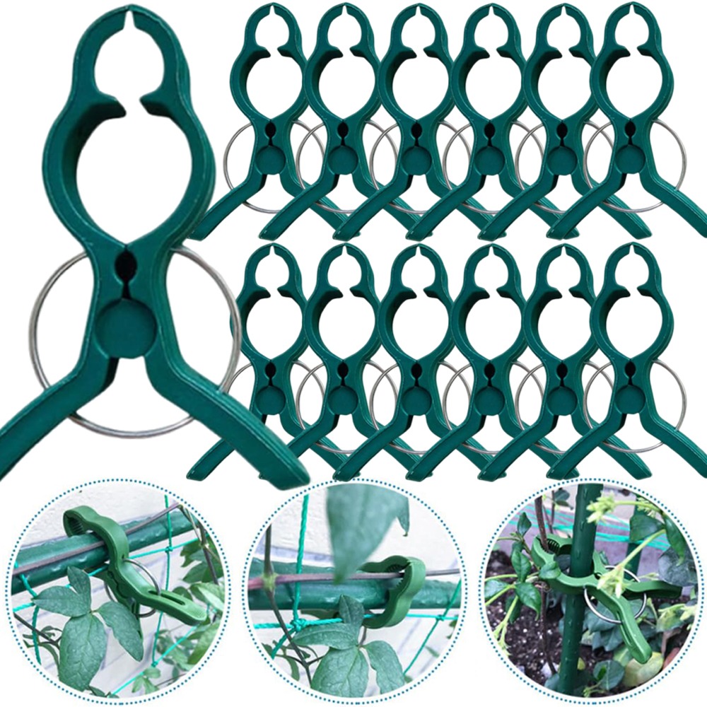 50/10PCS 식물 채소 지지 접목 클립 오이 가지붙 - Gardening Tools For Vines 리뷰 및 가격