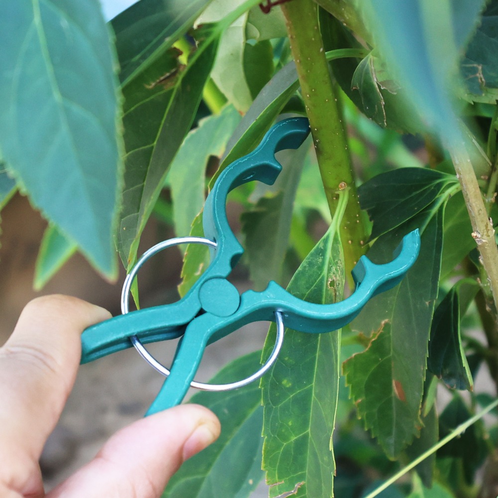 50/10PCS 식물 채소 지지 접목 클립 오이 가지붙 - Gardening Tools For Vines 리뷰 및 가격