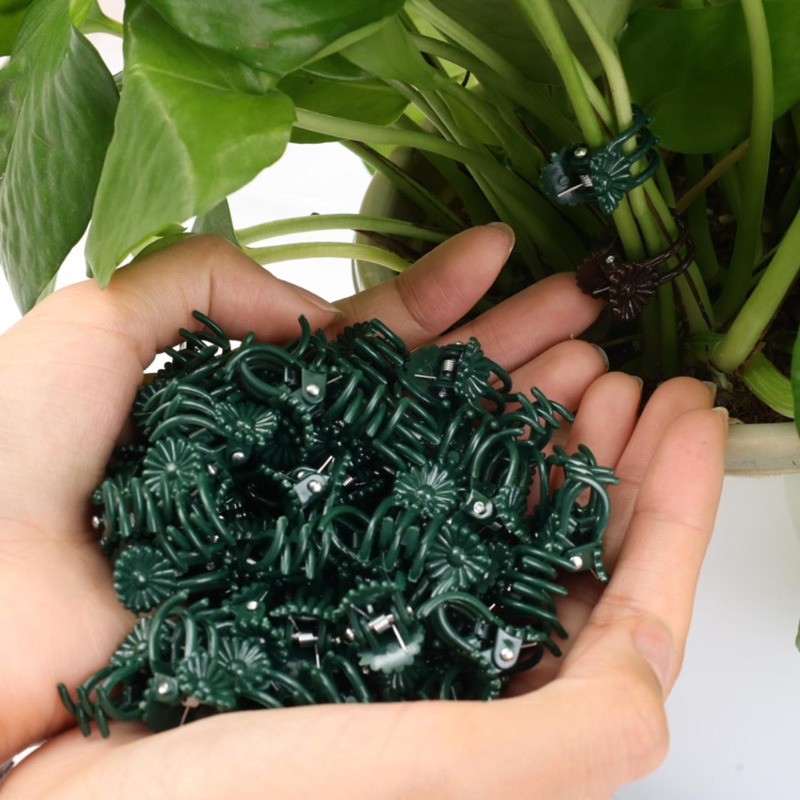 정원 꽃 난초 덩굴 식물 고정 클립 가지 토마토 포도  - Gardening Tools For Vines 리뷰 및 가격
