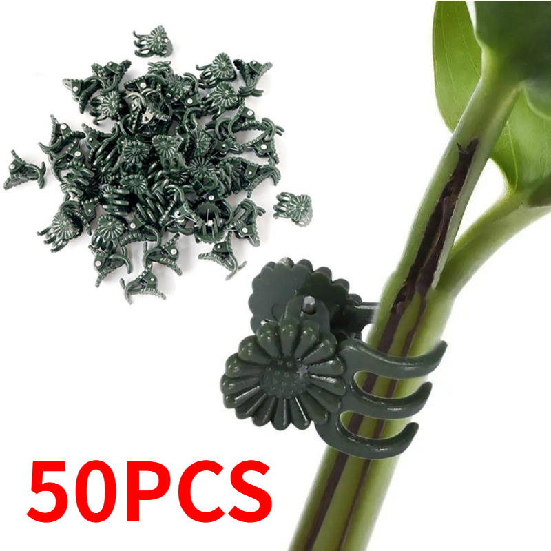 50개입 5발톱 짙은 녹색 식물 클립 난초 꽃 지지대  - Gardening Tools For Vines 리뷰 및 가격