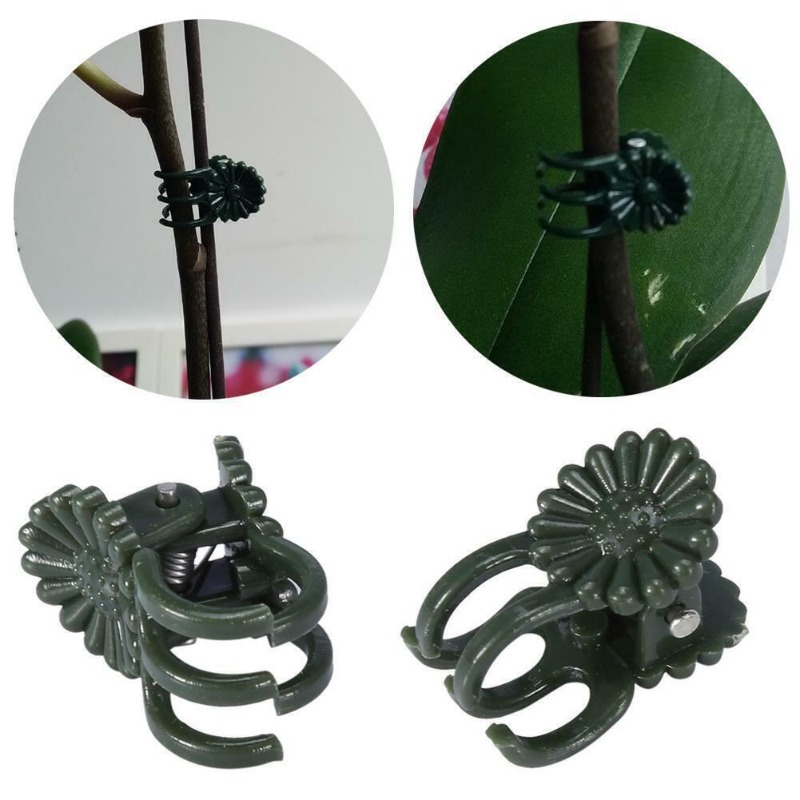 50개입 5발톱 짙은 녹색 식물 클립 난초 꽃 지지대  - Gardening Tools For Vines 리뷰 및 가격