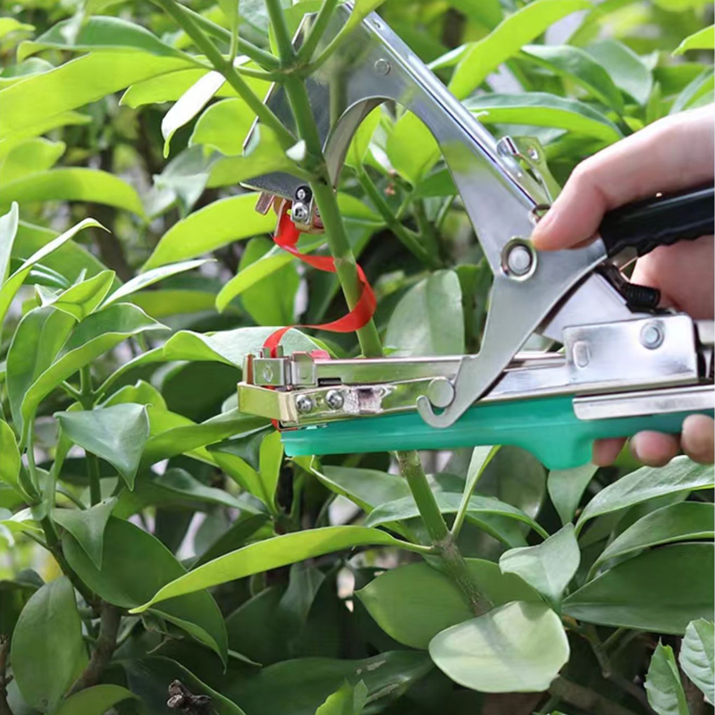 정원 식물 가지 손으로 묶는 기계, 채소 태퍼 테이프, - Gardening Tools For Vines 리뷰 및 가격