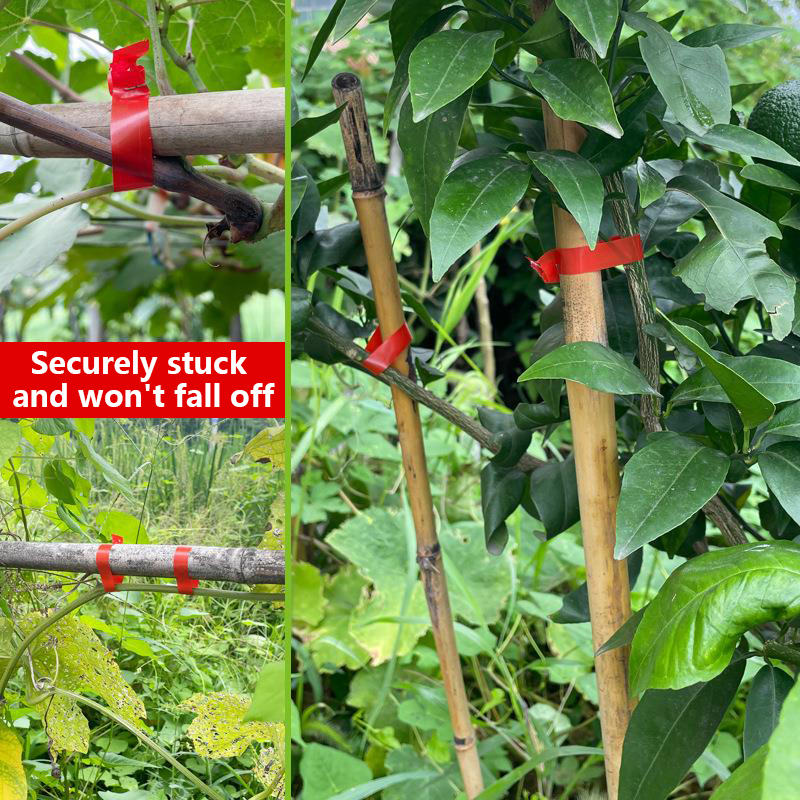 정원 식물 가지 손으로 묶는 기계, 채소 태퍼 테이프, - Gardening Tools For Vines 리뷰 및 가격