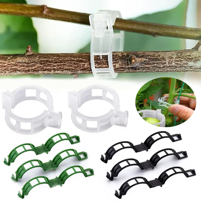 재사용 가능한 식물 고정 클립, 식물 야채 덩굴 연결, - Gardening Tools For Vines 리뷰 및 가격
