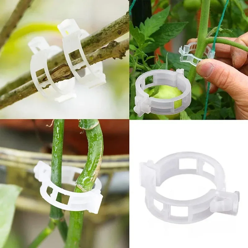재사용 가능한 식물 고정 클립, 식물 야채 덩굴 연결, - Gardening Tools For Vines 리뷰 및 가격