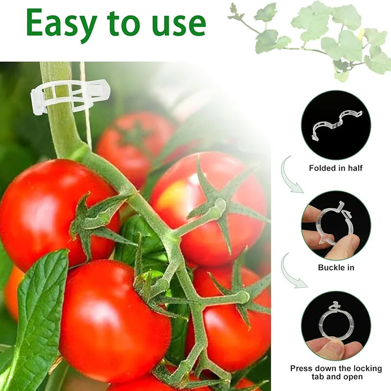 재사용 가능한 식물 고정 클립, 식물 야채 덩굴 연결, - Gardening Tools For Vines 리뷰 및 가격