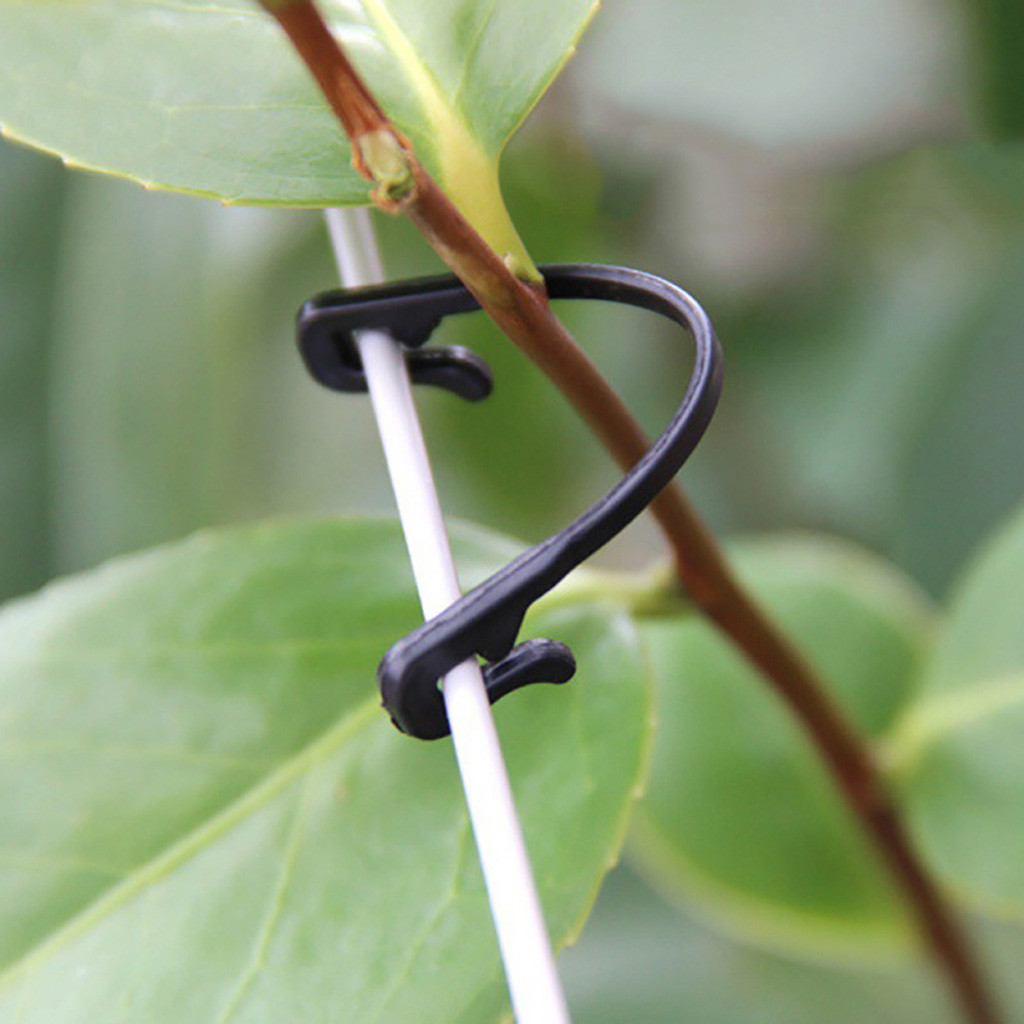 50-500개입 덩굴 고정 클립 버클 고정 래싱 도구  - Gardening Tools For Vines 리뷰 및 가격