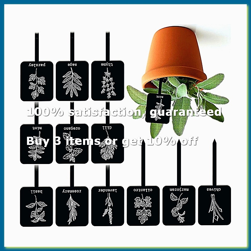 24개 아크릴 식물 라벨 표지판 12가지 스타일 정원  - Gardening Tools Names 리뷰 및 가격