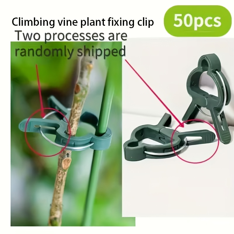 20개의 조절 가능한 식물 지지 클립 – 토마토, 덩굴 - Gardening Tools For Vines 리뷰 및 가격