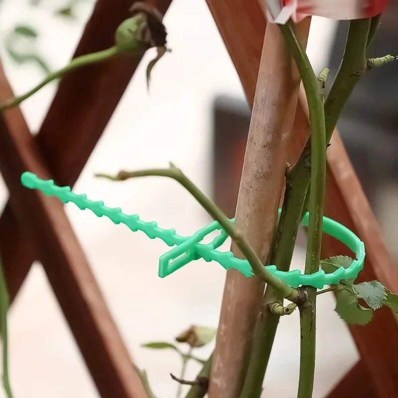 재사용 가능한 정원용 케이블 타이, 식물 덩굴 나무 관 - Gardening Tools For Vines 리뷰 및 가격