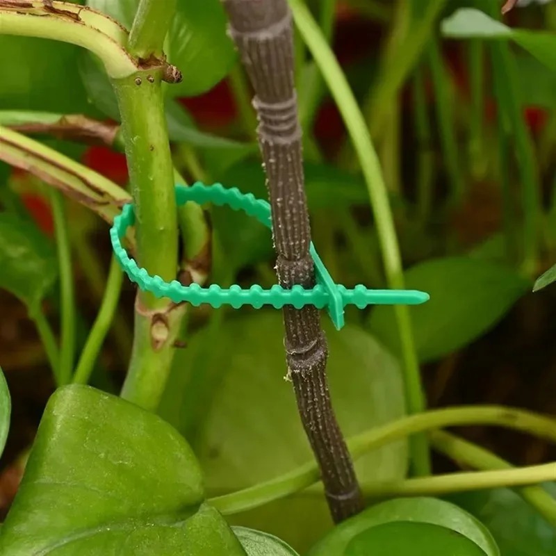 재사용 가능한 정원용 케이블 타이, 식물 덩굴 나무 관 - Gardening Tools For Vines 리뷰 및 가격