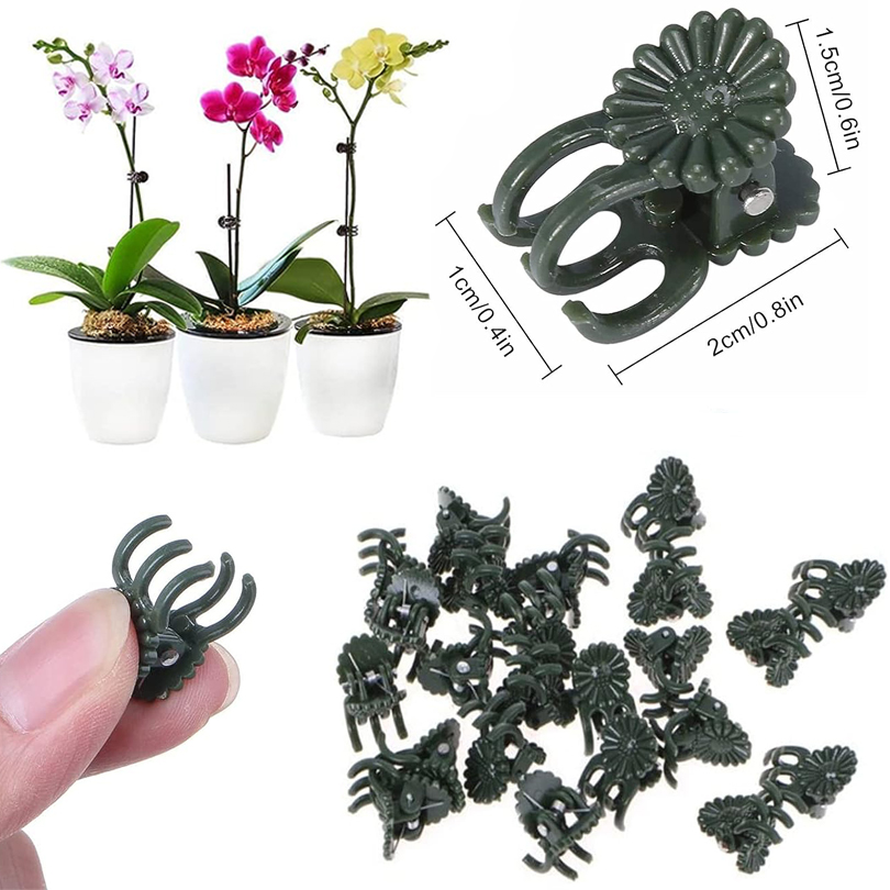 식물 클립 덩굴 클램프 접목용 식물 지지대, 토마토 나 - Gardening Tools For Vines 리뷰 및 가격