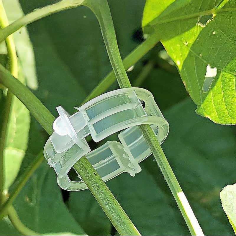 300/50개 식물 지지 클립 재사용 가능 플라스틱 연 - Gardening Tools For Vines 리뷰 및 가격