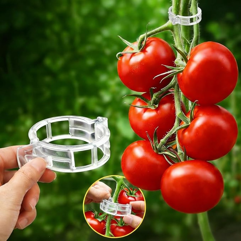 300/50개 식물 지지 클립 재사용 가능 플라스틱 연 - Gardening Tools For Vines 리뷰 및 가격